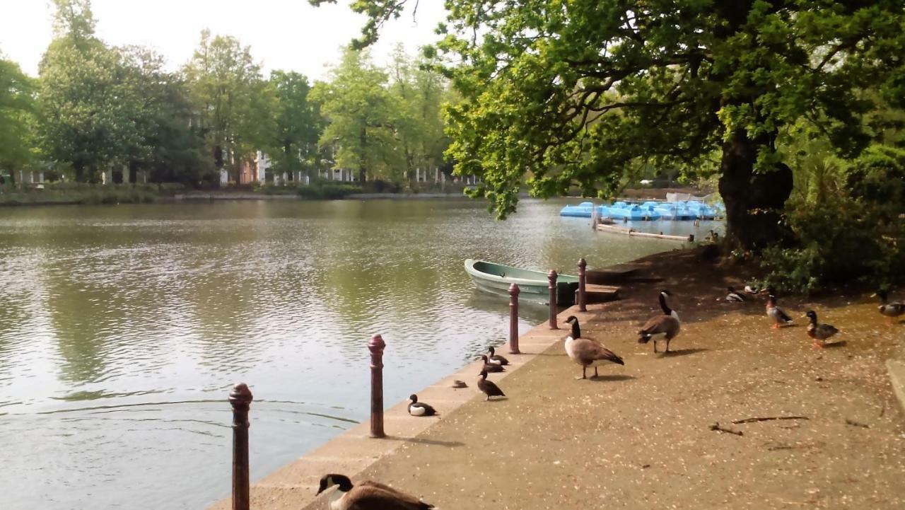 Crystal Palace B&B London Luaran gambar